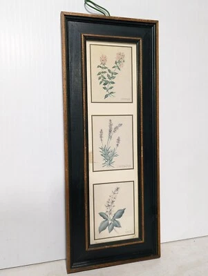 Wall Art Decor Print, Country Style  Picture Featuring Herbs,  21" T x 9" W - Image 1 of 4