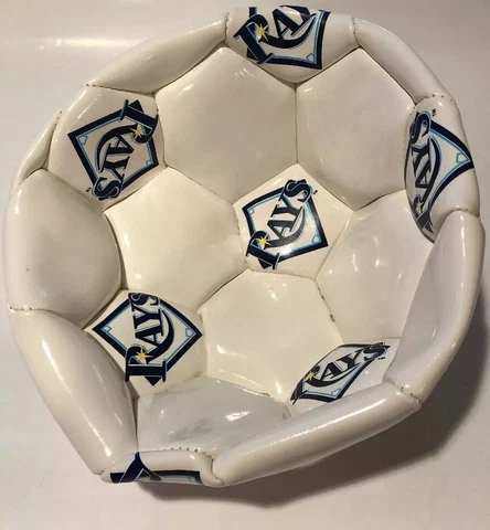 Tampa Bay Rays Youth Soccer Ball Cover