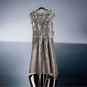 Vestido Formal Adrianna Papell Nuevo con Etiquetas 10P Pequeño Rosa Gris Plata Lentejuelas Para Mujer’s - Imagen 1 de 13