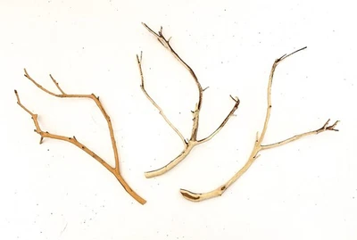 Aquarium Manzanita Branchy Driftwood 3 Piece Set WYSIWYG 10" - 11" long - Image 1 of 4