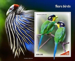 RARE BIRDS Birds/Bird MNH 1v-Stamp Sheet #2145 (2022 Sierra Leone) - Picture 1 of 1