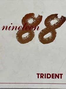 China Grove 1988 Trident Anuario Anual Escuela Secundaria Media Cubierta Blanca - Imagen 1 de 6