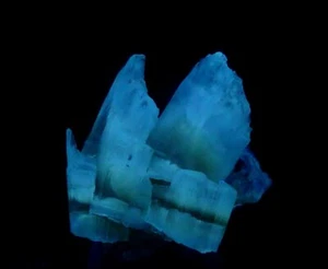 GYPSUM var. SELENITE -- TOP LW FLUORESCENT !!! Poland - Kuyavia - Dobrzyń /ph386 - Picture 1 of 21