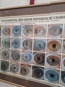 Gerahmte Fundamental Iris Zeichen Referenzkarte 1982 - Bild 1 von 5