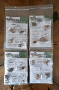 Fossil Dinosaur Pack REAL Collection Fossils Egg Shell, Bone, Tooth Coprolite - Picture 1 of 6