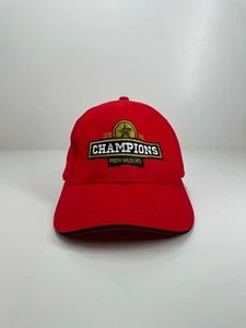 Perth Wildcats NBL Champions 2016 cap hat adjustable on size fits most - Picture 1 of 5