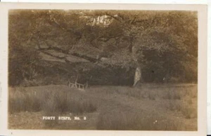 Postkarte unbekannter Ort - 40 Stufen Nr.3 - Ref 5979A - Bild 1 von 2