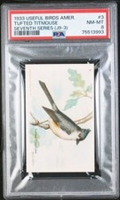 1933 Church & Dwight Useful Birds America J9-3 Tufted Titmouse #3 PSA 8 NM-MT
