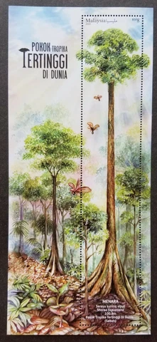 *FREE SHIP Malaysia World's Tallest Tropical Tree 2020 (ms) MNH *emboss *unusual Cover