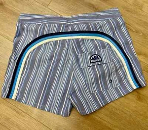 Rainbow Zebra Sundek 29 Surf Beach Board Shorts Swim Trunks Bath Suit Size 29 S - Picture 1 of 20
