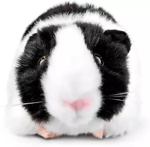 Black Guinea Pig Stuffed Animal with Sound | Fluffy Guinea Pig Animal | Soft Toy - Picture 1 of 12