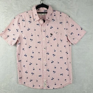 Abercrombie Kids Boys Button Up Shirt 11/12 Pink Red Stripe Long Sleeve Cotton - Picture 1 of 8
