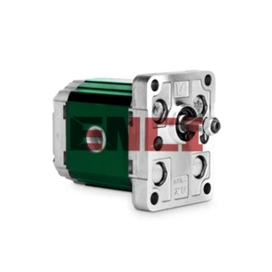 X1P2002FBBA Vivolo External Gear Pump - Afbeelding 1 van 1