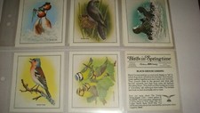BIRDS IN SPRINGTIME BY CADBURY'S  A SET OF 12 LARGE CARDS IN SLEEVES 1983 EXC