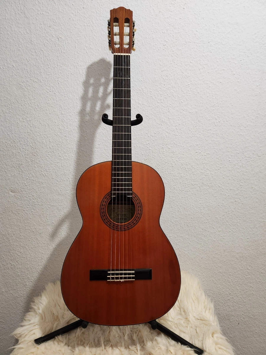 Dreadnought Acoustic Guitars for sale | eBay Grand Suzuki ドレッド