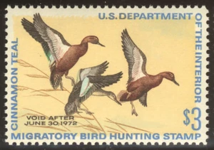 RW38 DUCK STAMP 1971 Cinnamon Teal Migratory Hunting Permit CV $42.50 Mint MNH - Picture 1 of 2