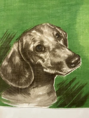 Gran retrato de un pañuelo Dachshund Foto 1 de 2