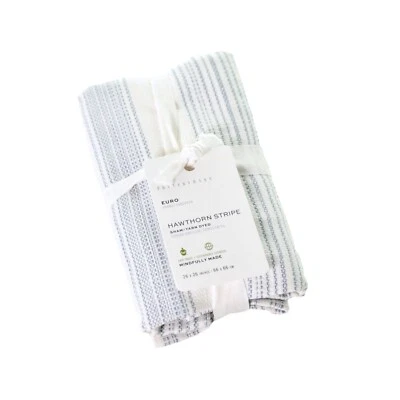 Falsa de algodón a rayas Pottery Barn Hawthorn nueva con etiquetas - (1) Euro azul blanco Foto 1 de 3