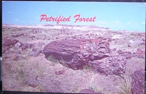 Petrified Forest - Arizona - unposted - Picture 1 of 2