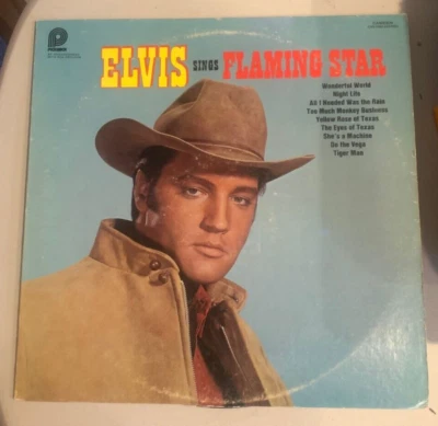 Elvis Presley, LP, VG+, Sings Flaming Star, Pickwick CAS-2304 (Side 2 No Titles) - Image 1 of 4