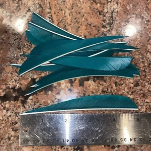 12 pcs 5" Archery Arrow Feathers Drop Shape Cut Real Feather Vane Green - Picture 1 of 1