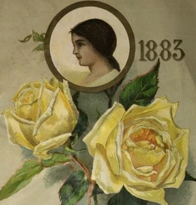 Decoraciones para el hogar The Youth's Companion Boston, Misa. Chatarra 1883 - Imagen 1 de 3