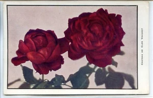 CP 21 Côte-d'Or - Chateau de Clos Vougeot - Picture 1 of 2