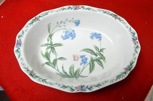 Noritake Gala Cuisine 7915 Wintergarten ovale Gemüse Servierschale NEU - Bild 1 von 4