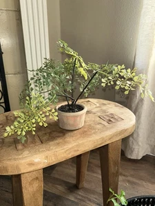 New Pottery barn faux potted plant terra-cotta small 8" dia, 11" h - Picture 1 of 4