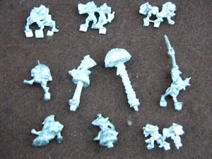 WHFB SNOTLING "SPECIALS" MULTI-LISTING - Picture 1 of 11