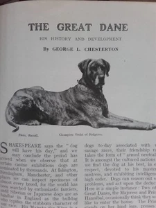 Great Dane Dog History Development Old Antique 1909 Article Vrelst of Redgrave  - Afbeelding 1 van 4