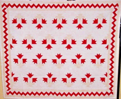 ANTIQUE CAROLINA LILY APPLIQUE QUILT HAND PIECED HAND QUILTED ZIG ZAG BORDER   - Image 1 of 4