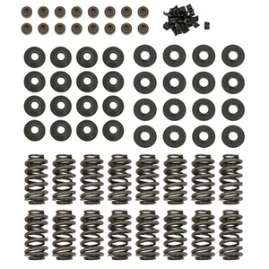 Summit Racing� GM LS Dual Valve Spring Upgrade Kit 174003 - Picture 1 of 3