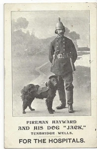 FEUERWEHRMANN HAYWARD & SEIN HUND JACK - TUNBRIDGE WELLS - FÜR DIE KRANKENHÄUSER POSTKARTE - Bild 1 von 2