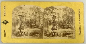 SV027_036 Stereoview California Yosemite Valley - Bild 1 von 1