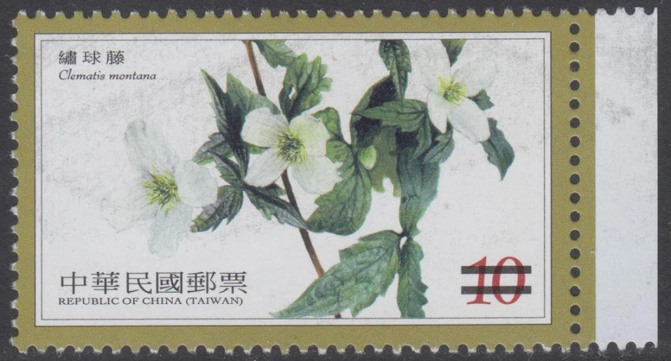 Specimen, Taiwan Sc3991 Alpine Flower - Image 1 of 1