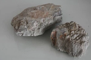 Natural Aquarium Lichen Rock 2 x Medium Pieces Marine Freshwater Fish Vivarium A - Picture 1 of 3