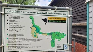 Schönes Grundstück an den Elbtalauen/Naturpark Fläming - Bild 1 von 1