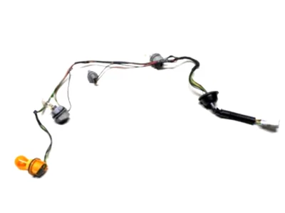 Nuevo cableado de enchufe de luz trasera genuino Honda CR-V (2005-2006) OE 33502SCAA11 Foto 1 de 4