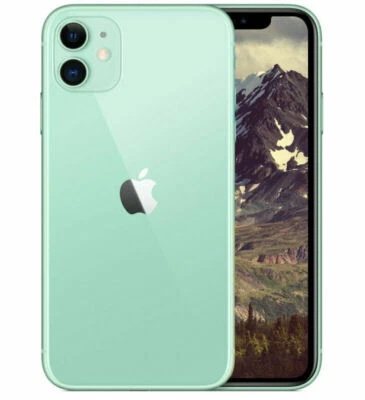 APPLE IPHONE 11 64 GB RICONDIZIONATO NO GRAFFI COME NUOVO GREEN - Immagine 1 di 3