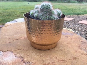 Metal Pot Planter Gold/ Rose Gold Modern Succulent Plant Holder - Picture 1 of 11