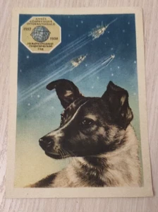 Space postcard Space traveler "Laika" USSR - Picture 1 of 2