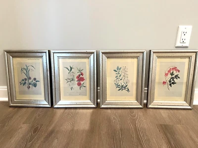 De Colección Soicher Marin P-2168 Mate y Enmarcado Surtido Botánicos en Marco Borghese Foto 1 de 4