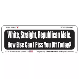 WHITE STRAIGHT... (5 Pack) Hard Hat Helmet Printed Sticker (size: 4" X 1") - Bild 1 von 3