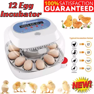 12 Egg Incubator for Hatching Eggs w/Automatic Egg Turning Temperature Control - Picture 1 of 12