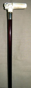 1900's Cane/Walking Stick - Carved Rabbit Handle From Bovine Bone-Mahogany Shaft - Picture 1 of 12
