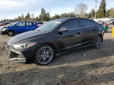 BLK LEFT REAR DOOR ASSEMBLY 2017-2020 HYUNDAI ELANTRA - Image 1 of 4