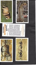 PLAYER'S / GRANDEE - AFRICAN WILDLIFE - FULL SET IN SLEEVES - 1990