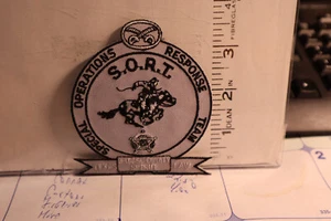 police patch  HILDAGO COUNTY SHERIFF TEXAS S.O.R.T. SPECIAL OPERATIONS RESPONSE - Picture 1 of 1