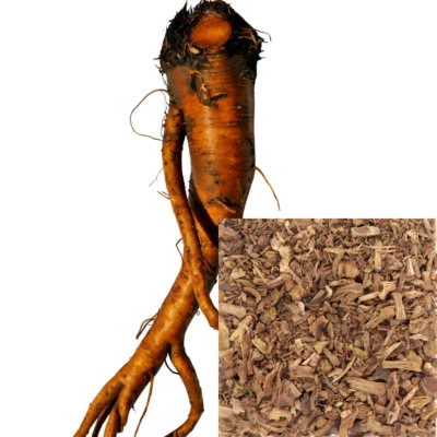 Yellow Dock Root cut, organic, soap making supplies, Natural colorant. - Image 1 of 4